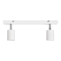 LED Reflektorska svjetiljka TUNE 2xGU10/4,8W/230V bijela