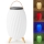 LED RGB Punjiva stolna lampa sa zvučnikom 60W/2200 mAh IPX5