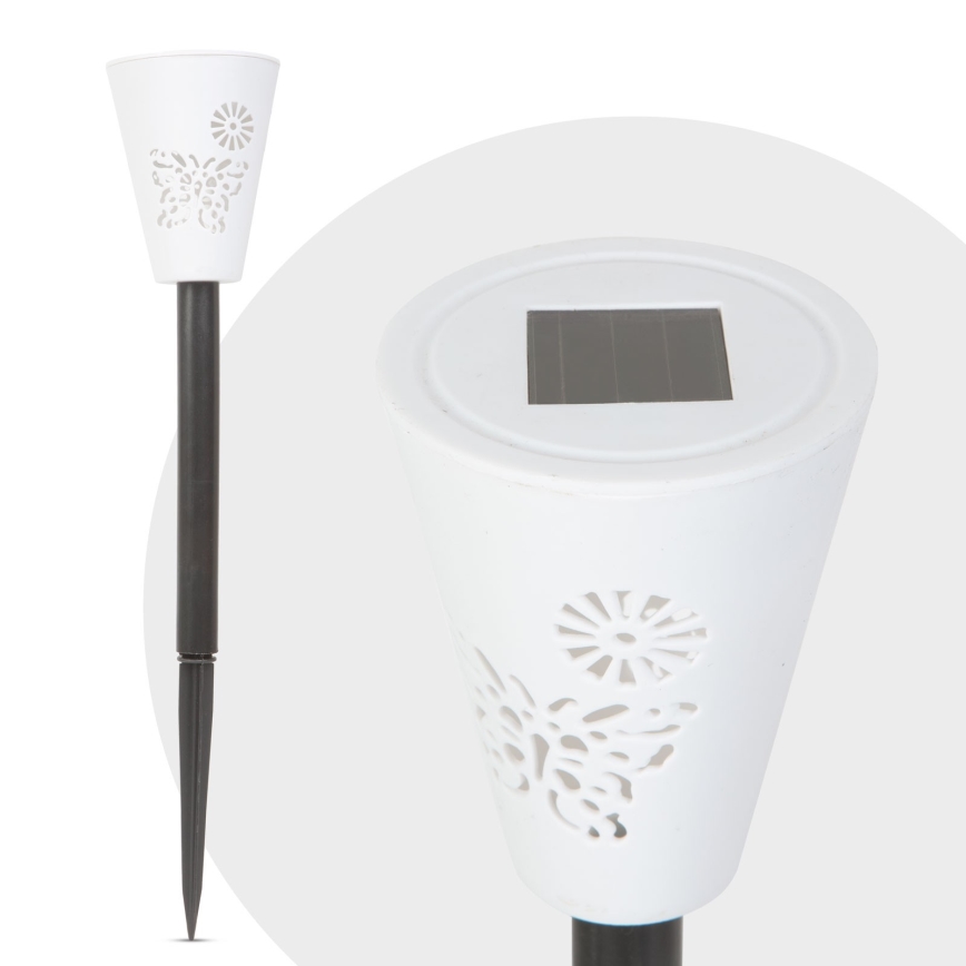 LED RGB Solarna lampa LED/1xAAA IP44