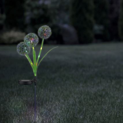 LED RGB Solarna svjetiljka ALLIUM LED/1,2V 6500 600 mAh IP44 crna