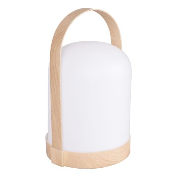 LED RGBW Dekorativna stolna lampa MINORKA LED/0,3W/4,5V 3xAA