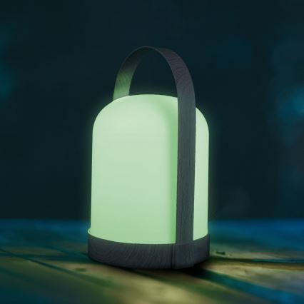 LED RGBW Dekorativna stolna lampa MINORKA LED/0,3W/4,5V 3xAA
