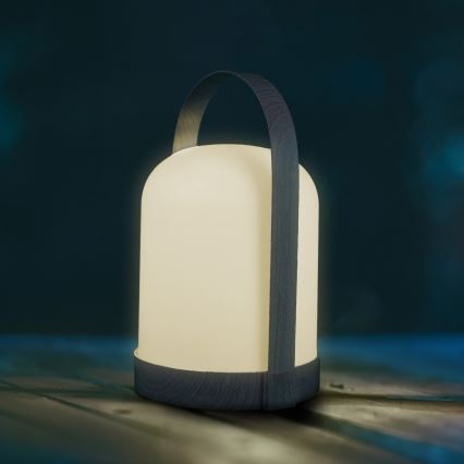 LED RGBW Dekorativna stolna lampa MINORKA LED/0,3W/4,5V 3xAA