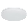 LED RGBW Dimmabilno stropno svjetlo za kupaonicu LED/20W/230V Wi-Fi IP44 bijela