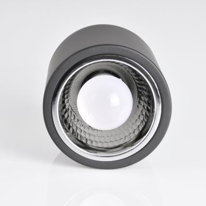 LED RGBW Dimmable Stropna Lampa JUPITER 1xE27/6,5W/230V 2700-6500K Wi-Fi promjera 13 cm crna
