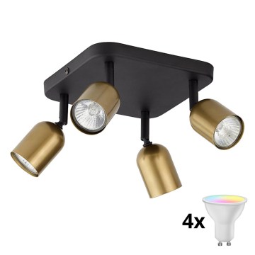 LED RGBW Prigušiva spot svjetiljka TOP 4xGU10/6,5W/230V 2700-6500K zlatna/crna
