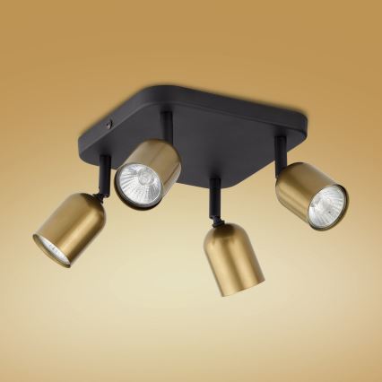 LED RGBW Prigušiva spot svjetiljka TOP 4xGU10/6,5W/230V 2700-6500K zlatna/crna