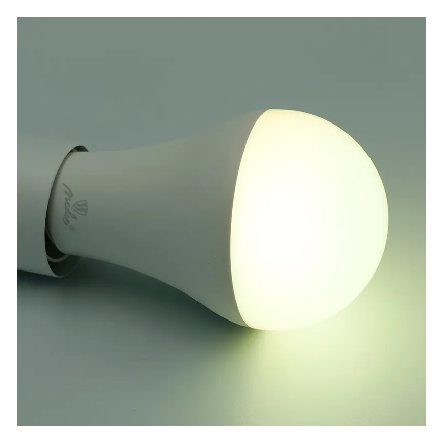LED RGBW Prigušiva žarulja A60 E27/15W/230V 2700-6500K Wi-Fi Tuya