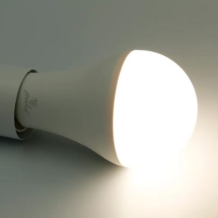 LED RGBW Prigušiva žarulja A60 E27/15W/230V 2700-6500K Wi-Fi Tuya