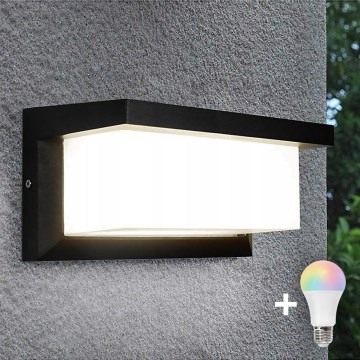 LED RGBW prigušivo vanjsko zidno svjetlo NEELY 1xE27/12W/230V 2700-6500K IP54 crno