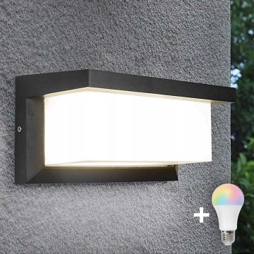 LED RGBW prigušivo vanjsko zidno svjetlo NEELY 1xE27/9W/230V 2700-6500K IP54 Wi-Fi antracit