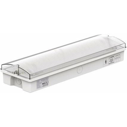 LED sigurnosna svjetiljka s redovitim testom funkcionalnosti EMERGENCY EXIT LED/3W/230V 6400K IP65