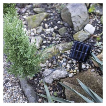 LED solarna dekoracija 50xLED/3W/1,2V 600 mAh IP44