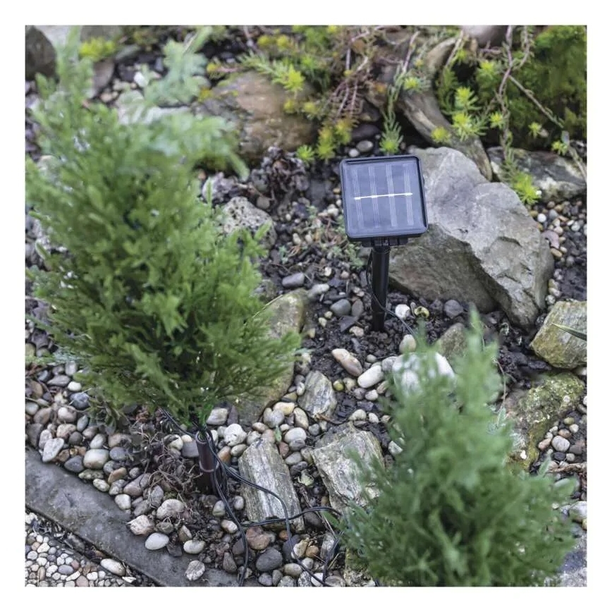 LED solarna dekoracija 50xLED/3W/1,2V 600 mAh IP44