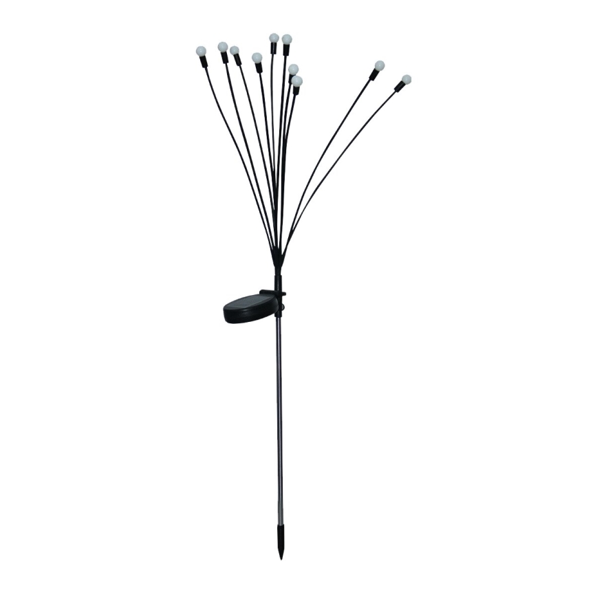 LED Solarna dekorativna svjetiljka 10xLED/1,2V 3000K 73 cm IP44