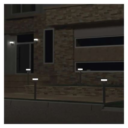 LED Solarna lampa sa senzorom LED/2W/3,7V 1200 mAh IP44 50 cm