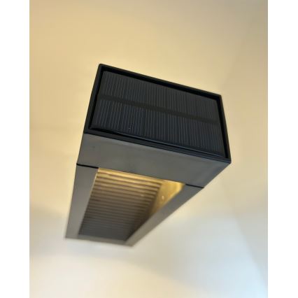 LED Solarna svjetiljka 2xLED/1,2V 200 mAh IP44 crna
