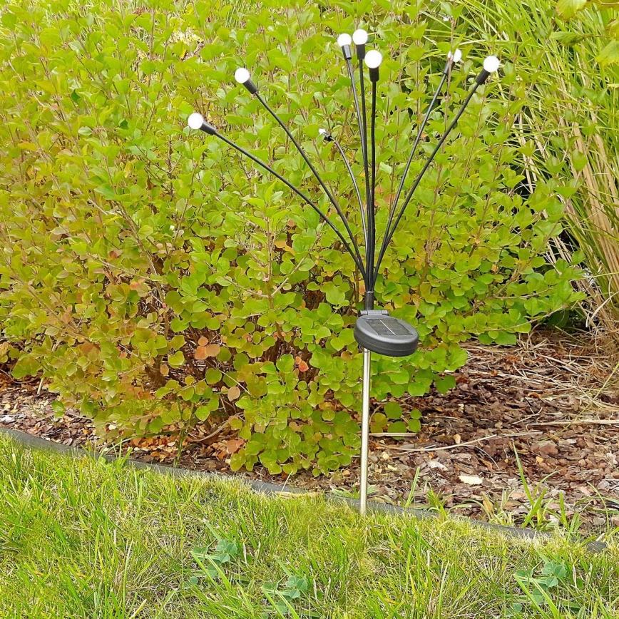 LED Solarna svjetiljka FIORINI 8xLED/1,2V 600mAh IP44 crna