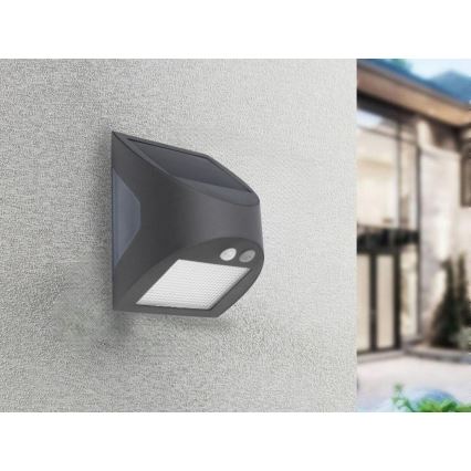 LED solarno zidno svjetlo sa senzorom LED/3W/3,7V 3000/4000K 1200 mAh IP54 antracit