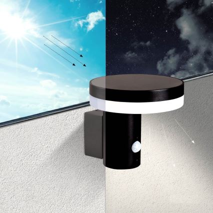 LED solarna zidna svjetiljka sa senzorom SOLARIS3 LED/5,5W/3,7V 4000K IP44 2600 mAh