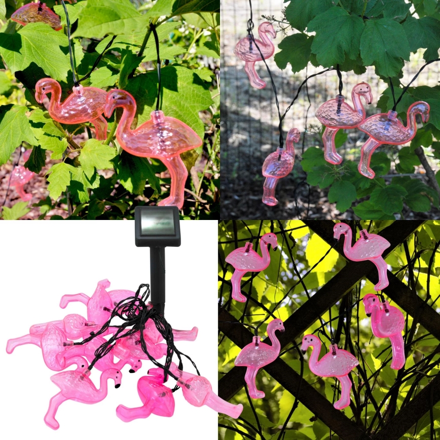 LED Solarni dekorativni lanac 10xLED/1,2V 300 mAh 3,8 m IP44 flamingo