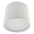 LED spot svjetiljka LED/10W/230V 3000/4000/6400K pr. 12 cm bijela