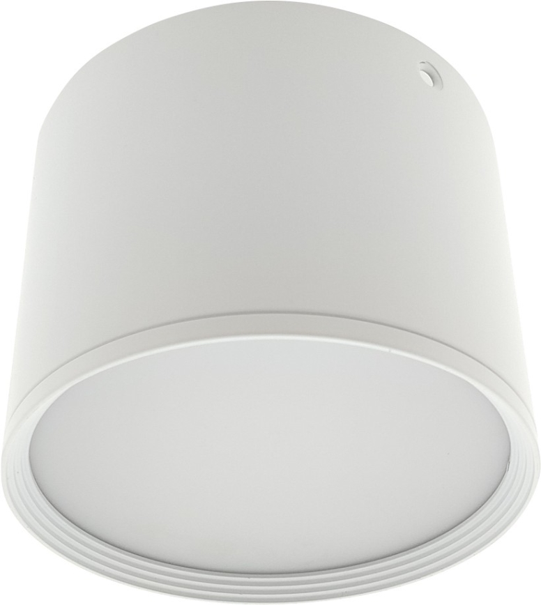 LED spot svjetiljka LED/10W/230V 3000/4000/6400K pr. 12 cm bijela