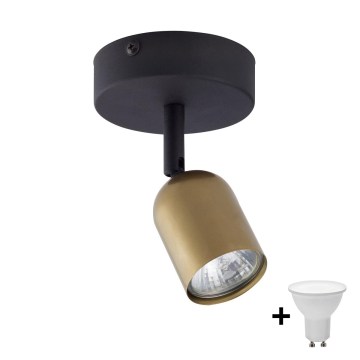 LED spot svjetiljka TOP 1xGU10/10W/230V zlatna/crna