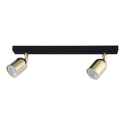 LED spot svjetiljka TOP 2xGU10/10W/230V crna/zlatna