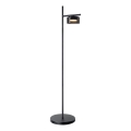 LED stojeća lampa OFELIA 1xGX53/6W/230V crna/zadimljena