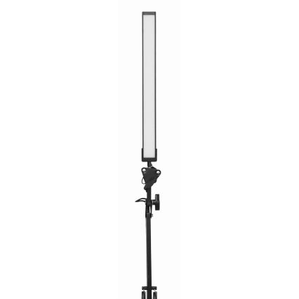 LED Stolna lampa s kopčom LED/10W/230V 2800-6800K
