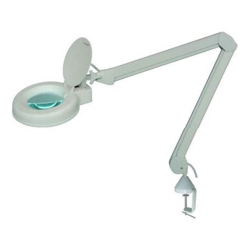 LED Stolna lampa s povećalom LED/5W/230V 6000K bijela