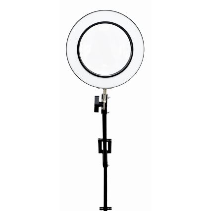 LED Stolna lampa s povećalom, prigušivač, LED/10W/230V 3000/4500/6000K