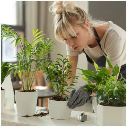 LED stolna lampa za uzgoj biljaka s prigušivanjem VERDI LED/5W/5V 1300K CRI 95 bijela