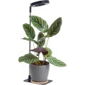 LED stolna lampa s prigušivanjem za uzgoj biljaka VERDI LED/5W/5V 1300K CRI 95 crna