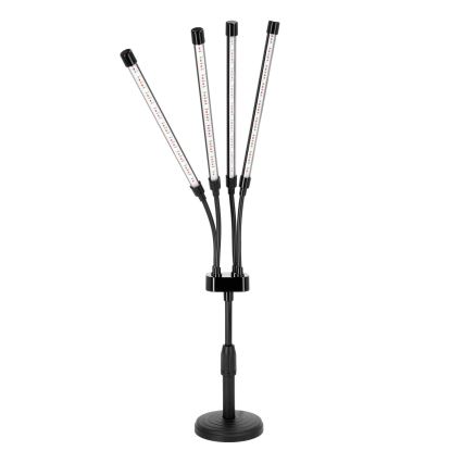 LED podesiva fleksibilna stolna lampa za uzgoj biljaka VITARO 4xLED/10W/230V crna