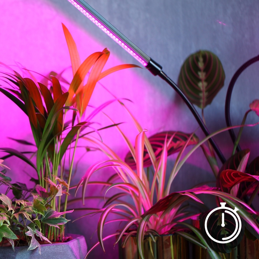 LED fleksibilna stolna lampa za uzgoj biljaka VITARO, s mogućnošću prigušivanja, 4xLED/10W/230V, crna