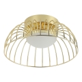 LED stropna lampa BETSY LED/12W/230V promjer 25 cm zlatna