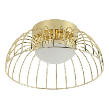 LED stropna lampa BETSY LED/12W/230V promjer 25 cm zlatna