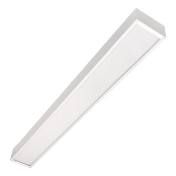 LED Stropna montirana viseća svjetiljka CYNIDECO LED/12W/230V 4000K bijela
