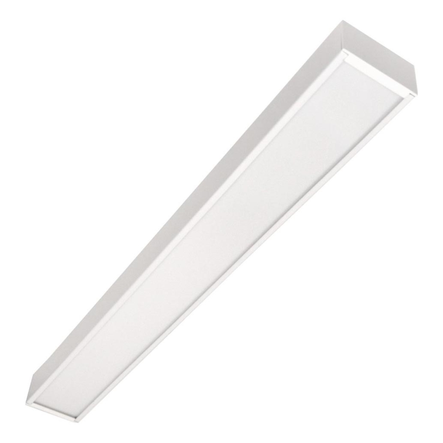 LED Stropna montirana viseća svjetiljka CYNIDECO LED/12W/230V 4000K bijela