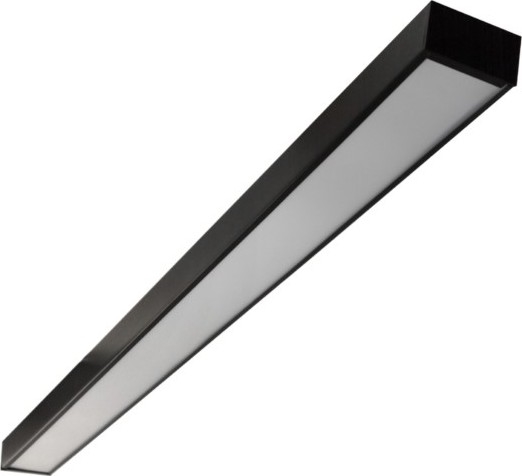 LED Stropna montirana viseća svjetiljka CYNIDECO LED/12W/230V 4000K crna
