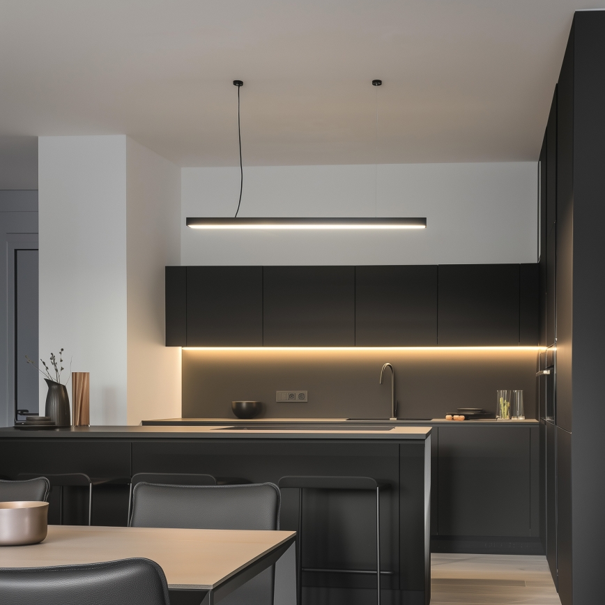 LED Stropna nadgradna viseća svjetiljka CYNIDECO LED/30W/230V 4000K crna