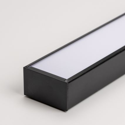 LED Stropna nadgradna viseća svjetiljka CYNIDECO LED/30W/230V 4000K crna