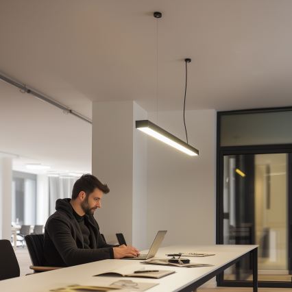 LED stropna nadometna i viseća svjetiljka CYNIDECO LED/12W/230V 4000K crna