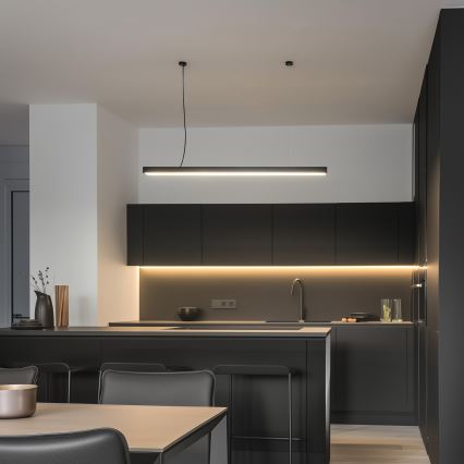 LED stropna nadometna i viseća svjetiljka CYNIDECO LED/12W/230V 4000K crna