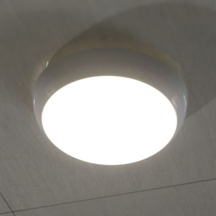 LED Stropna panik svjetiljka sa senzorom LED/8W/16W/20W/230V IP65 3000/4000/6500K pr. 32 cm