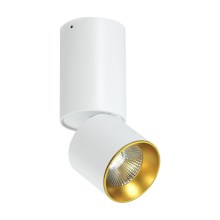 LED Stropna reflektorska svjetiljka LED/10W/230V