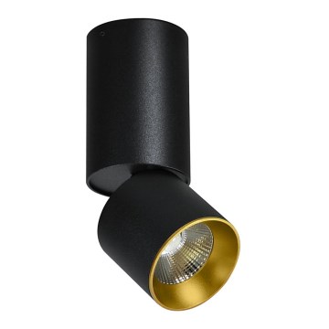 LED Stropna reflektorska svjetiljka LED/10W/230V