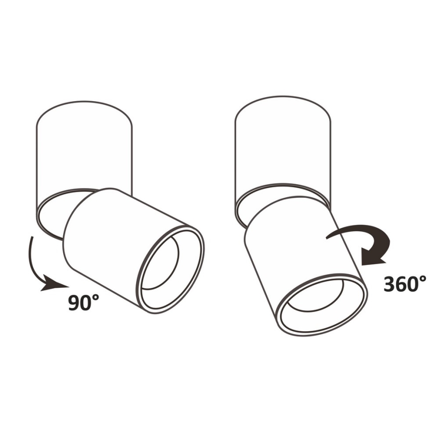 LED Stropna reflektorska svjetiljka LED/10W/230V